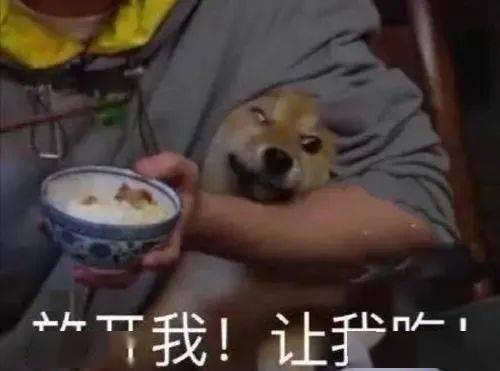 儿子带你吃瓜,儿子带我走进甜蜜的“吃瓜”世界