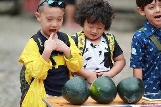 萌娃花式吃瓜,花式吃瓜大比拼