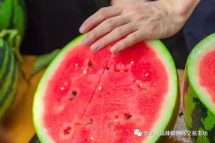 吃瓜学校山东,揭秘校园里的独特文化现象