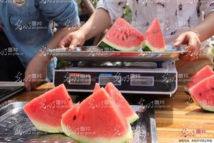 山东外事吃瓜比赛