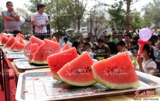 山东外事吃瓜比赛