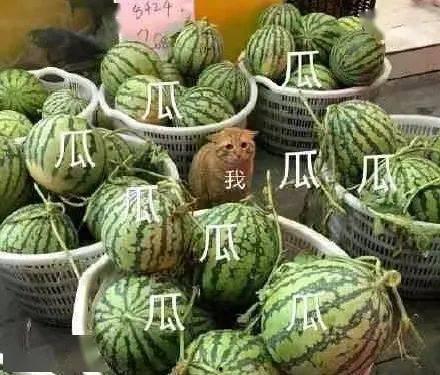 吃瓜太上头,揭秘网络热点的魅力与陷阱