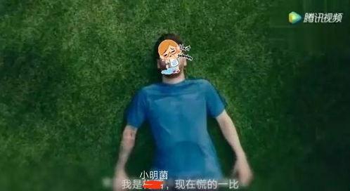 悉尼吐槽吃瓜,揭秘吃瓜群众的酸甜苦辣