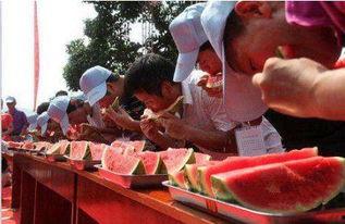 中国吃瓜比赛视频,舌尖上的欢乐盛宴