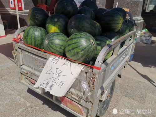 市井拍照吃瓜,拍照吃瓜，揭秘人间百态