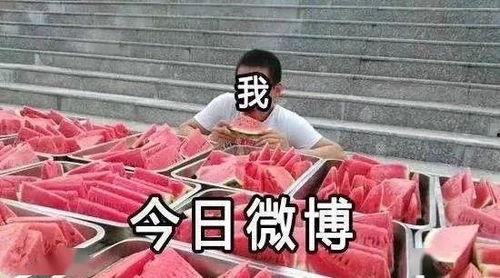待寝 吃瓜人,悠然自得吃瓜人生