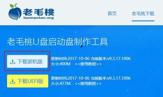 吃瓜系统主系统,主系统功能与操作指南