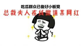 吃瓜总裁老婆,揭开豪门背后的温情故事