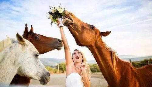 小马吃瓜摄影师,捕捉生活中的美好瞬间