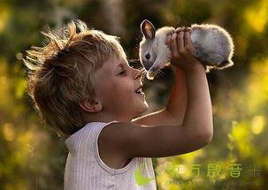 小马吃瓜摄影师,捕捉生活中的美好瞬间