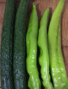 吃辣腌瓜声控,舌尖上的声音盛宴